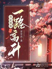 贵妃娘娘一路高升全文阅读