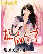 极品全才神婿全文免费