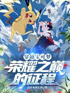 主角穿越宝可梦成为精灵