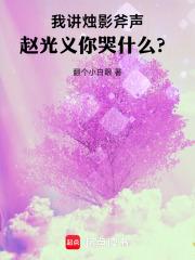 我讲烛影斧声