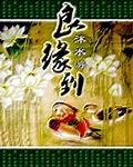 红楼之眼光放远点