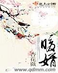 退网野王她只想学习+番外
