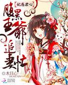 妃惑君心:腹黑王爷追妻忙