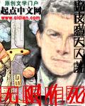 火影之名动忍界