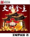 审计风雨:豆豆升职记