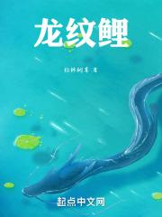 寻寻觅觅