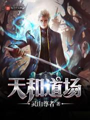 鏖战苍穹之霸王御天