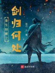 崔可夫元帅战争回忆录