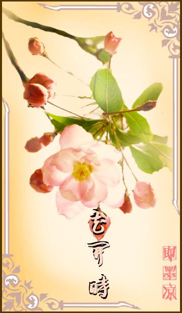 麻辣女兵之波折