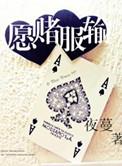 六界唯一纯阳圣体，我在都市逍遥