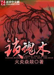 都市至尊高手