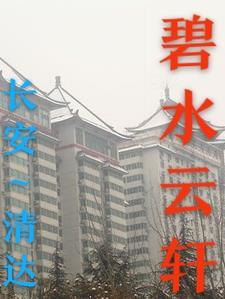 何以述情深