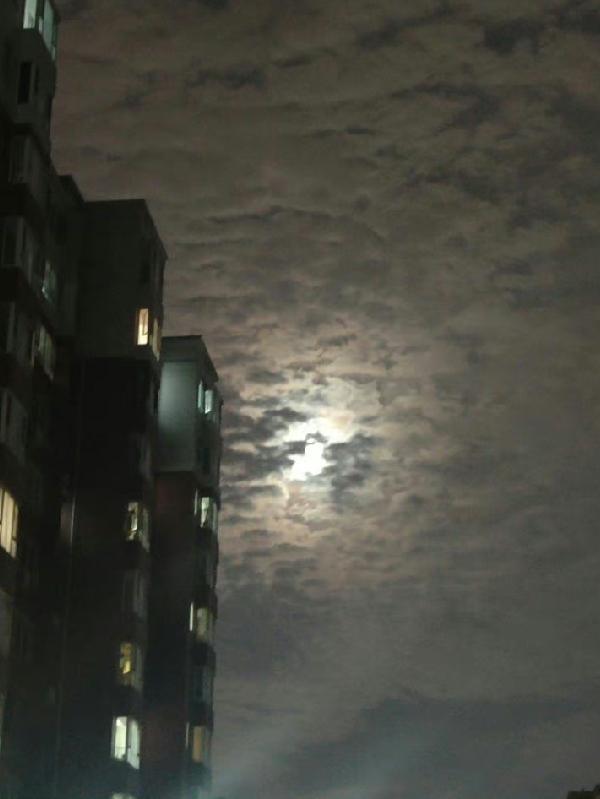 妖寿啦！书穿小师妹，天天遭雷劈