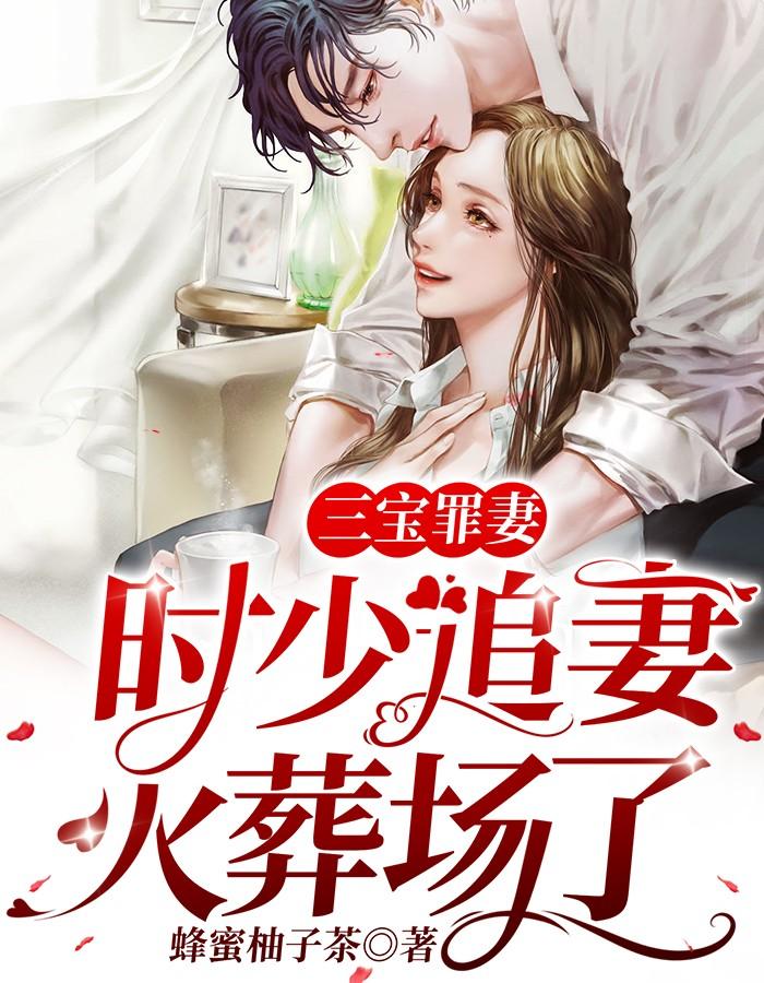 三宝罪妻:时少追妻火葬场了