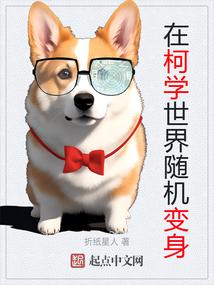 我能看到未来新闻