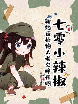 少帅出嫁当从妇