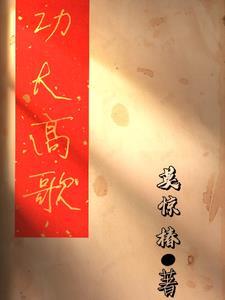 总裁的创业记