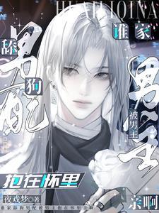 冰露侠