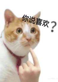 从历史到神话