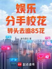 剑影之林羽风云