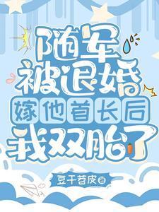 海岛随军被退婚后,嫁他首长躺赢