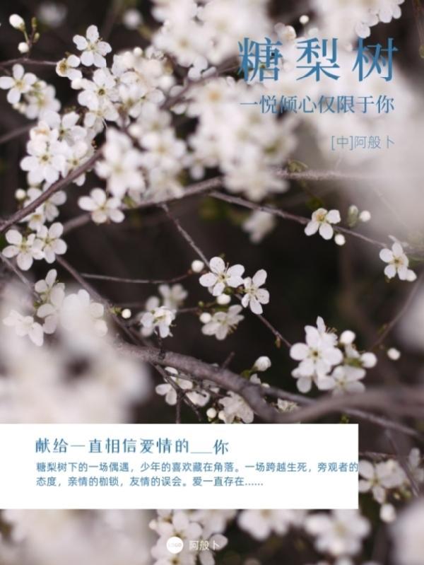 一见倾心