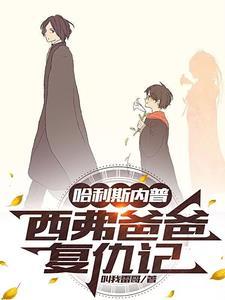 哈利波特:斯内普娶了我姨妈