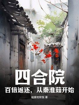 四合院之多子多福的老何