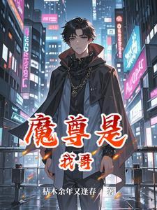 海贼里的满级玩家