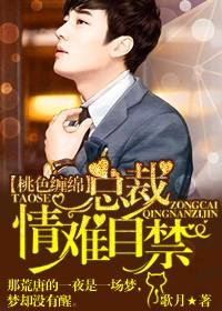 对你不止是喜欢小说