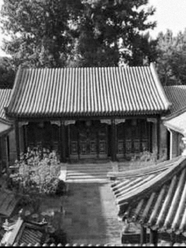 穿书八零，小知青被糙汉宠疯啦