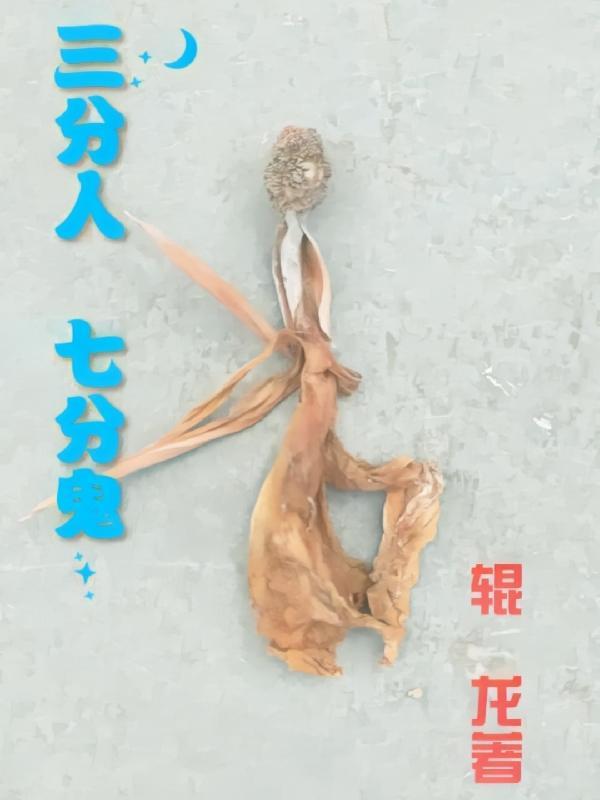 HP只想摆烂的我却融化了冷蝙蝠