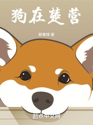 漫漫修真路，一人独登仙