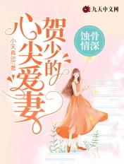 蚀骨情深:贺少的心尖爱妻