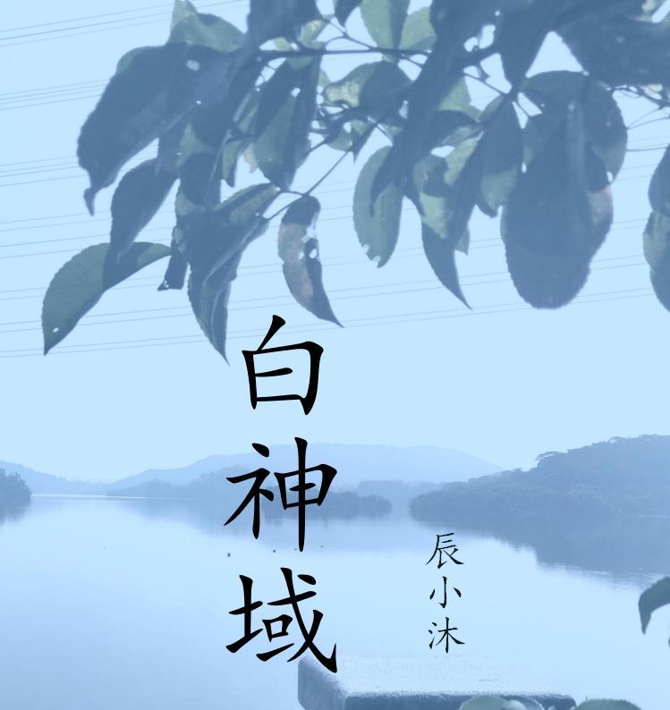 穿越之美食博主