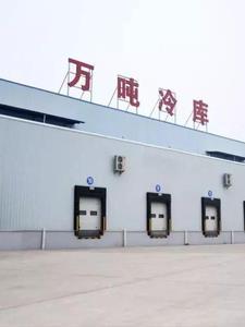 我在欧洲当文豪