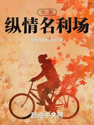 小安飞升记
