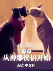 华娱:从神雕侠侣开始