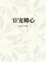 霍格沃茨之追逐风暴