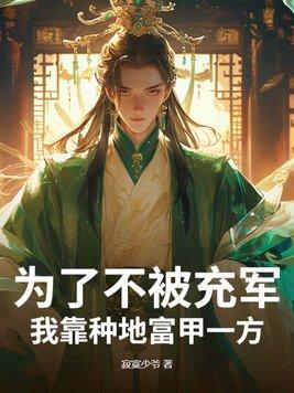 穿越，但是钢铁雄心系统