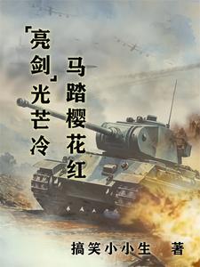 暗夜双雄