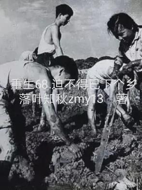 合欢宗：挨打就变强，师姐别停！