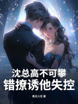 沈总高不可攀,错撩诱他失控