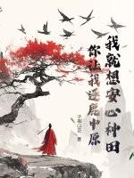天玄大陆林寒