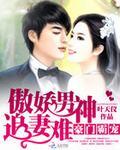 豪门霸宠:傲娇男神追妻难