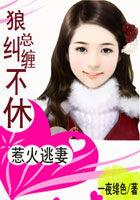 顶级豪婿