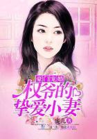 豪门宠婚:权爷的挚爱小妻