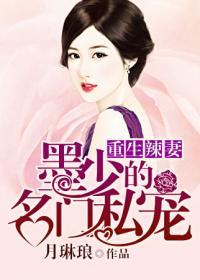 重生辣妻:墨少的名门
