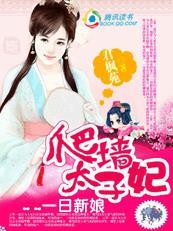 宝可梦之顶尖训练家