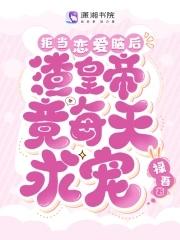 重生之王的男妃